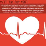 one billion heartbeats wtf fun fact