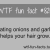 onions facts