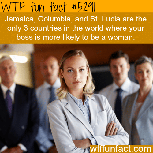 Only three countries have more women bosses than men - WTF fun facts