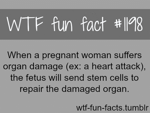 Fetus and organ damage