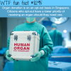 organ donations in singapore wtf fun facts