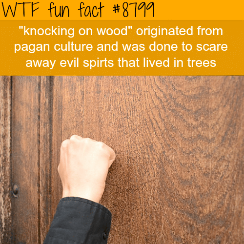Origins of Knocking on Wood - WTF fun facts