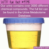 our urine contains over 3000 different chemical
