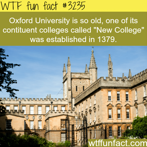 Oxford University -  WTF fun facts