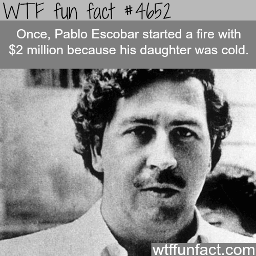 Pablo Escobar - WTF fun facts