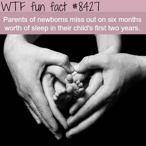 Parent of newborns lose six months worth of sleep - WTF fun facts