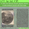 passport photos with your dog wtf fun facts