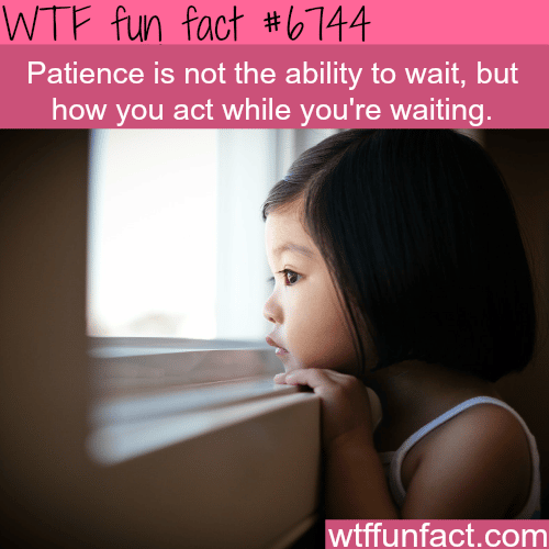 Patience - WTF fun fact