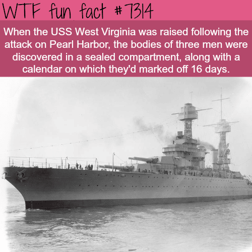Pearl Harbor - WTF fun fact