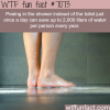 peeing in the shower wtf fun facts