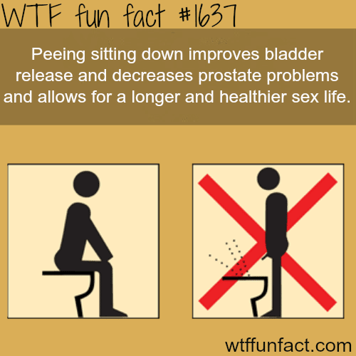 Peeing sitting down (health facts) - WTF fun facts