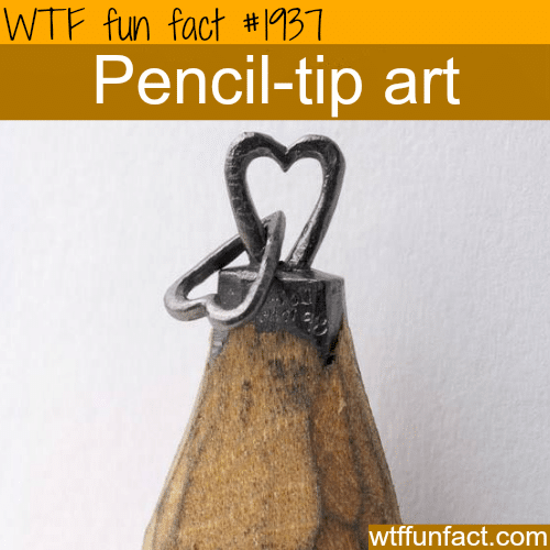 Pencil-tip Art - WTF fun facts