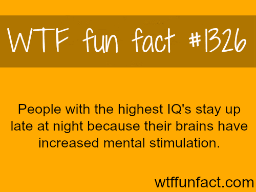 PEOPLE with the highest IQ's 