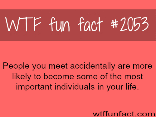 People you meet accidentally - WTF fun facts