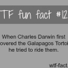 peoples fact charles darwin more of wtf facts