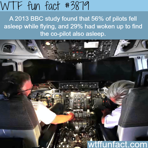 Percentage of pilots who fell asleep while flying - WTF fun facts