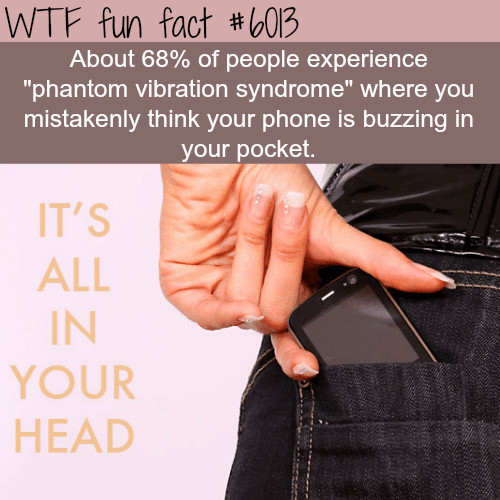 Phantom Vibration - WTF fun facts
