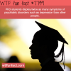 phd students wtf fun facts