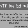 phobia fears facts