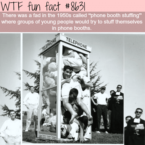Phone booth stuffing - WTF fun facts