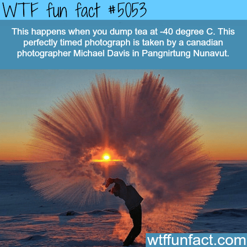 Photographer dumps tea at -40 degree C - WTF fun facts