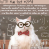 physics professor jack h hetherington s cat