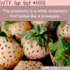 pineberry wtf fun facts