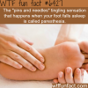 pins and needles sensation wtf fun facts