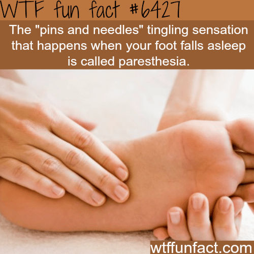 Pins and needles sensation - WTF fun facts