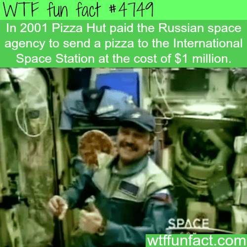 Pizza Hut sent pizza to the International space station for a million dollar - WTF fun facts
