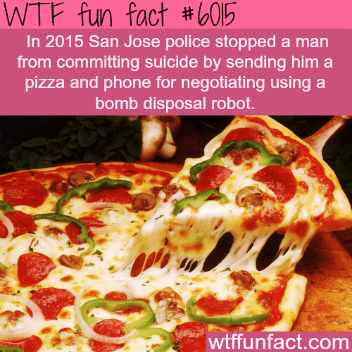 Pizza stops a man from committing suicide - WTF fun facts