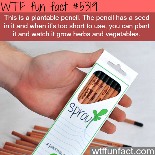 Plantable pencil - WTF fun facts