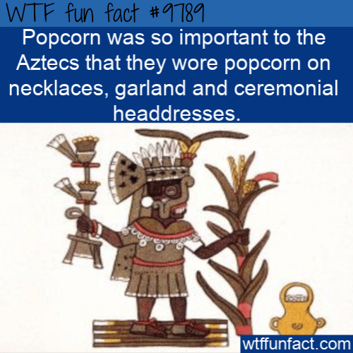 Popcorn was so important to the Aztecs that they wore popcorn on necklaces