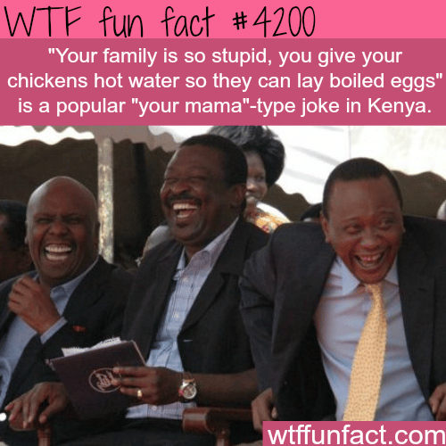 Popular jokes from around the world -  WTF fun facts
