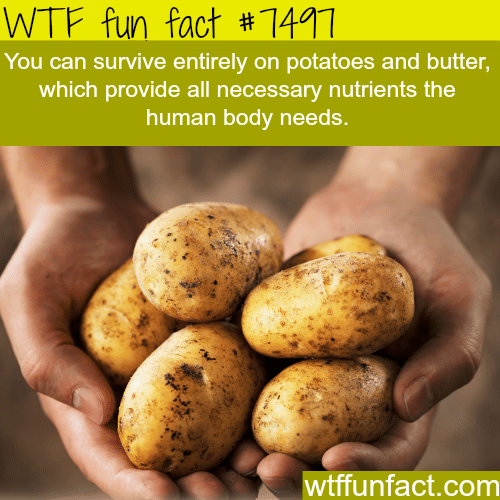 Potatoes provide you with all nutrients your body needs - WTF FUN FACTS