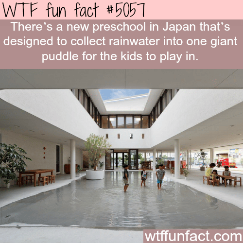 Preschool in Japan designed to collect rainwater into a puddle for kids to play in - WTF fun facts