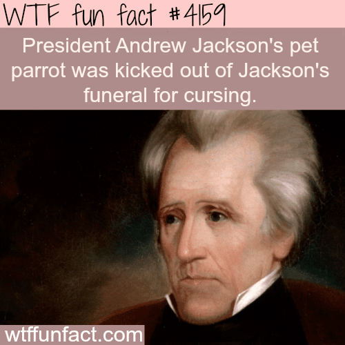 President Andrew Jackson’s pet parrot -  WTF fun facts