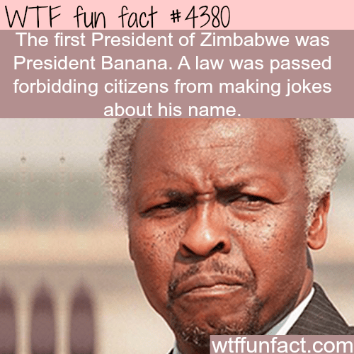 President Banana of Zimbabwe - WTF fun facts