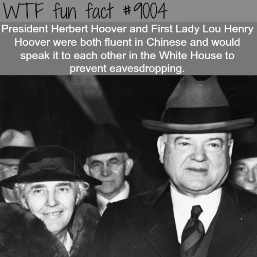 President Herbert Hoover - WTF fun facts