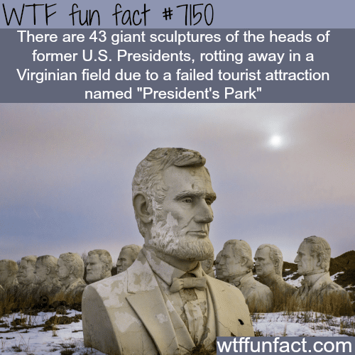 President’s park - WTF fun facts