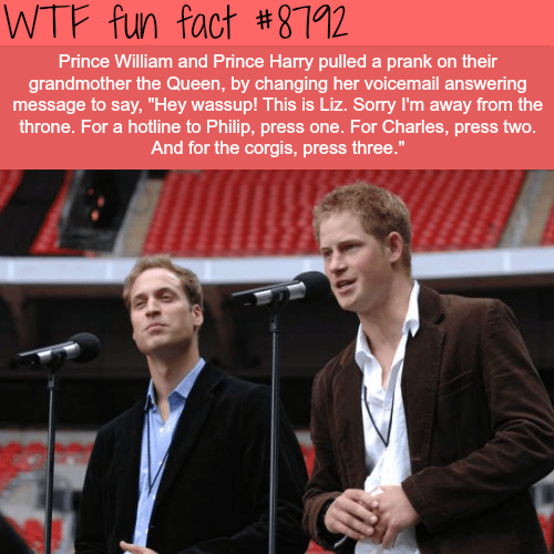 Prince William and Prince Harry Pulled a Prank on the Queen - WTF fun facts