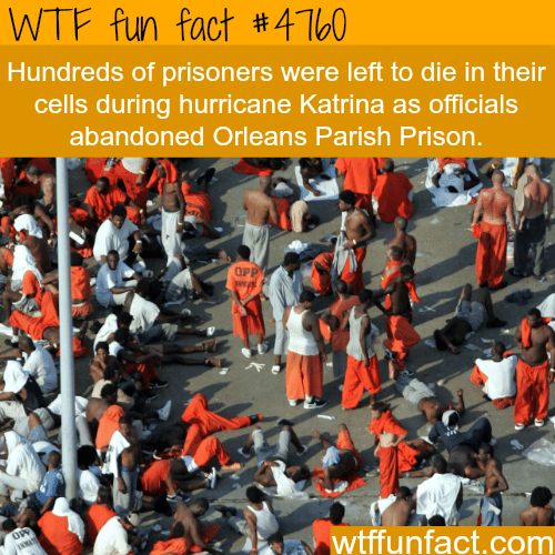 Prisoners left to die during hurricane Katrina - WTF fun facts