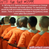 prisons increase crime wtf fun facts
