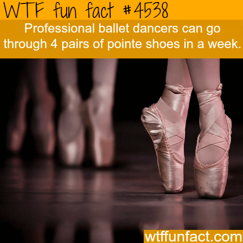 Professional ballet -   WTF fun facts