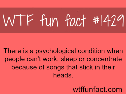 Why do i feel this fact is describing me ? 