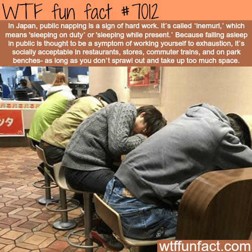 Public napping in Japan - WTF fun facts