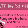 puma and adidas