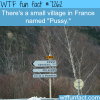 pussy france wtf fun fact