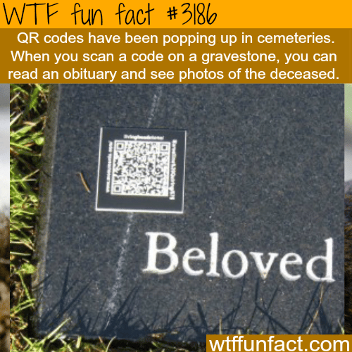 Qr Codes On The Gravestones