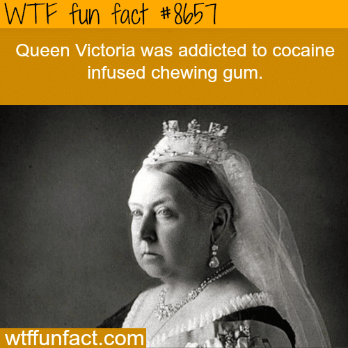 Queen Victoria - WTF fun facts